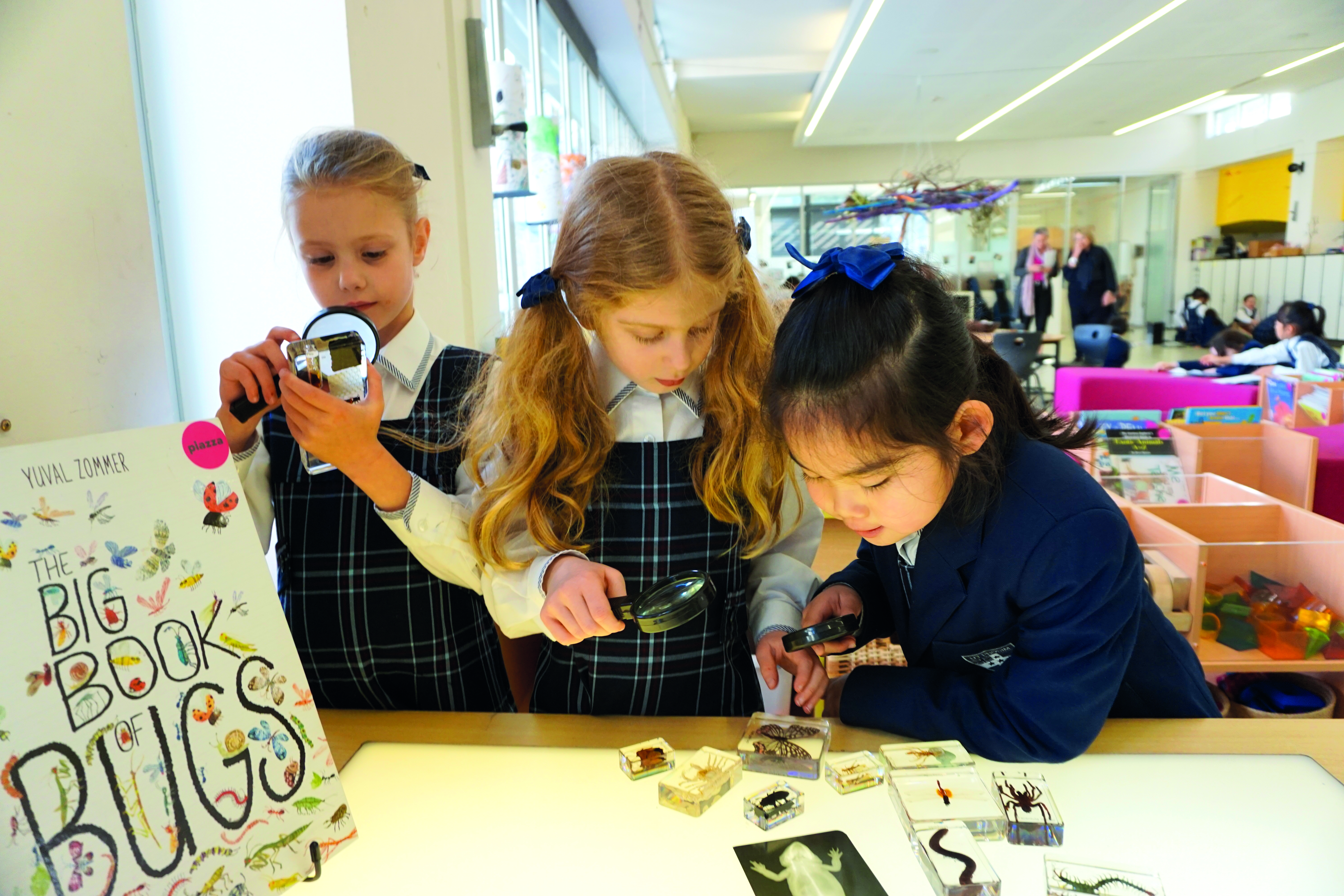 Wenona_Made_SH_12_1442_result_